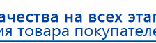 ДЭНАС - Аппликатор купить в Комсомольске-на-амуре, Электроды Дэнас купить в Комсомольске-на-амуре, Дэнас официальный сайт denasdoctor.ru